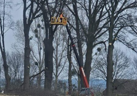 whatsapp image 2025 12 15 at 06.12.29 (16)